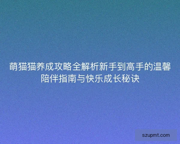 萌猫猫养成攻略全解析新手到高手的温馨陪伴指南与快乐成长秘诀